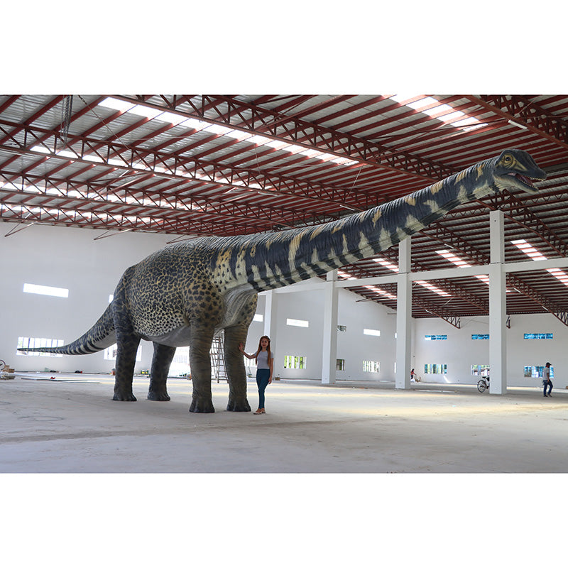 Australotitan Dinosaur Life Size Statue