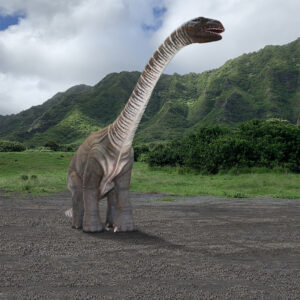 Rhoetosaurus Brownei Dinosaur Life Size Statue