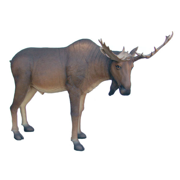 Moose Life Size Statue