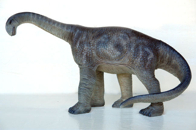 Camarasaurus Baby Dinosaur Life Size Statue