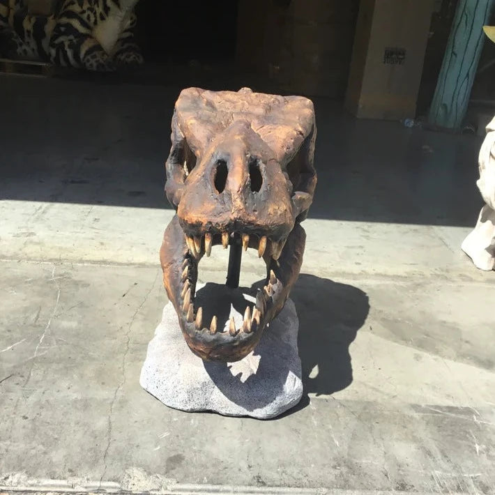 T-Rex Skull Statue