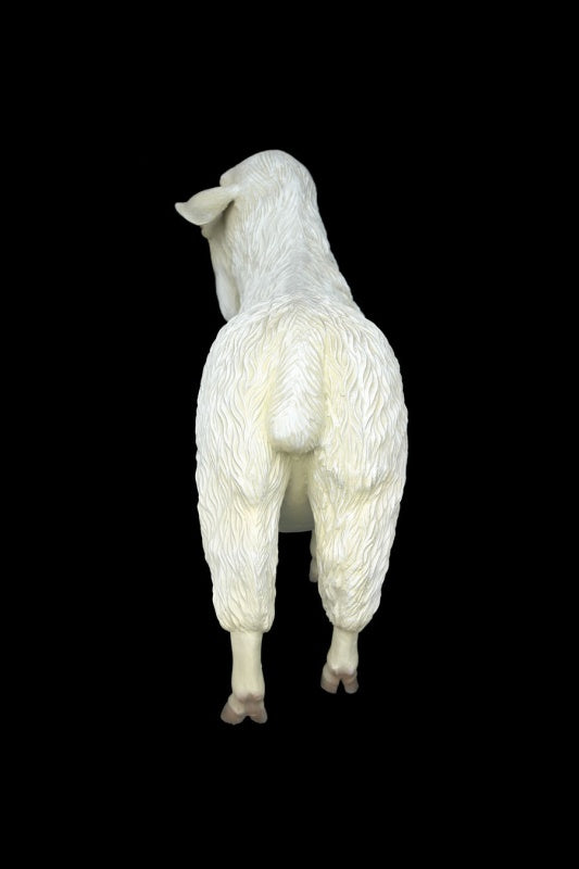 Tibetan Sheep Female Life Size Statue