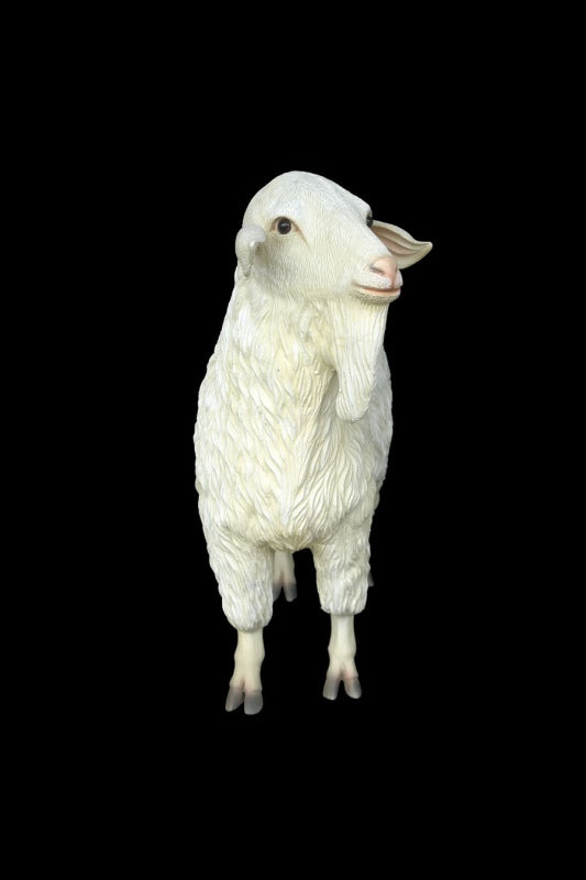 Tibetan Sheep Female Life Size Statue