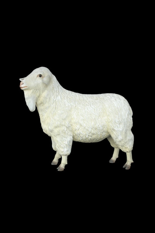 Tibetan Sheep Female Life Size Statue