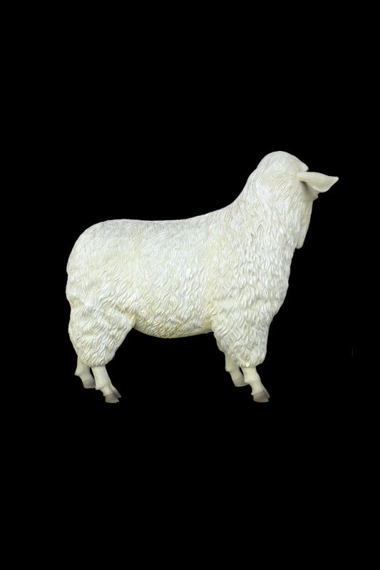 Tibetan Sheep Female Life Size Statue