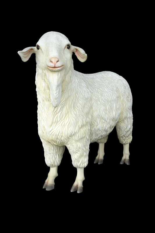 Tibetan Sheep Female Life Size Statue
