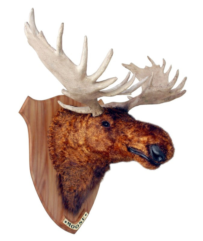 Moose Head on Plate Life Size Statue