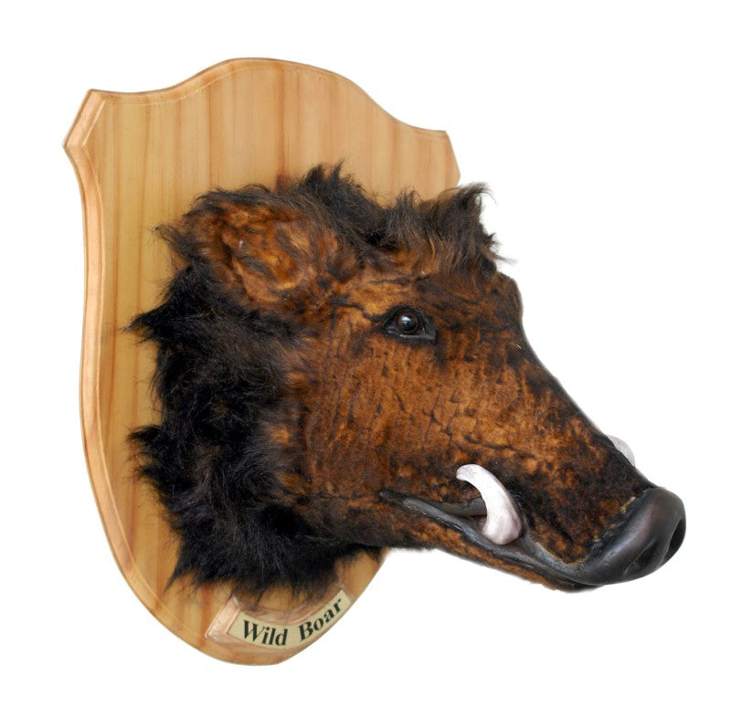 Wild Boar Head on Plate Life Size Statue