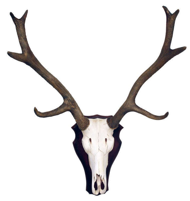 Reindeer Skull on Plate Life Size Statue