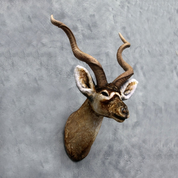 Kudu Head Life Size Statue
