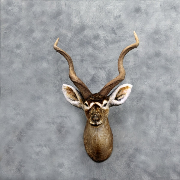 Kudu Head Life Size Statue