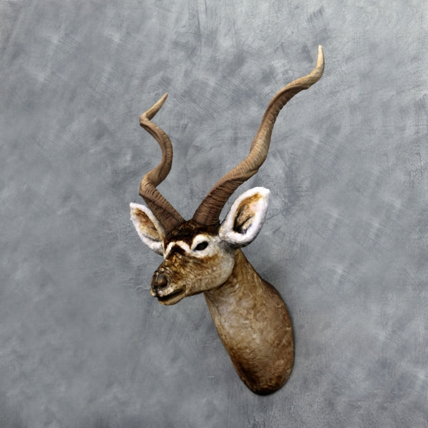 Kudu Head Life Size Statue