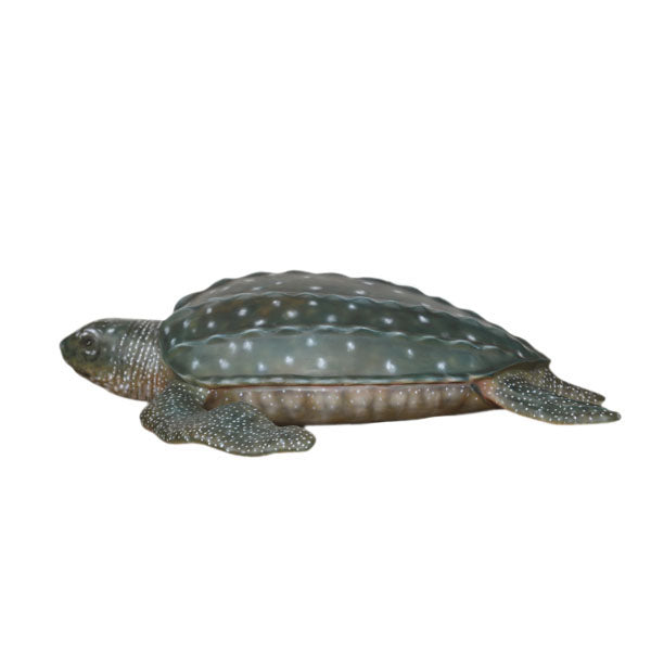 Leatherback Turtle Life Size Statue