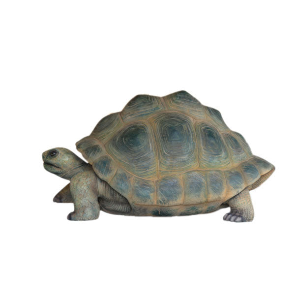 Aldabra Turtle Life Size Statue