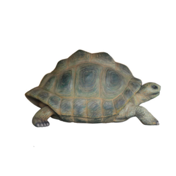 Aldabra Turtle Life Size Statue