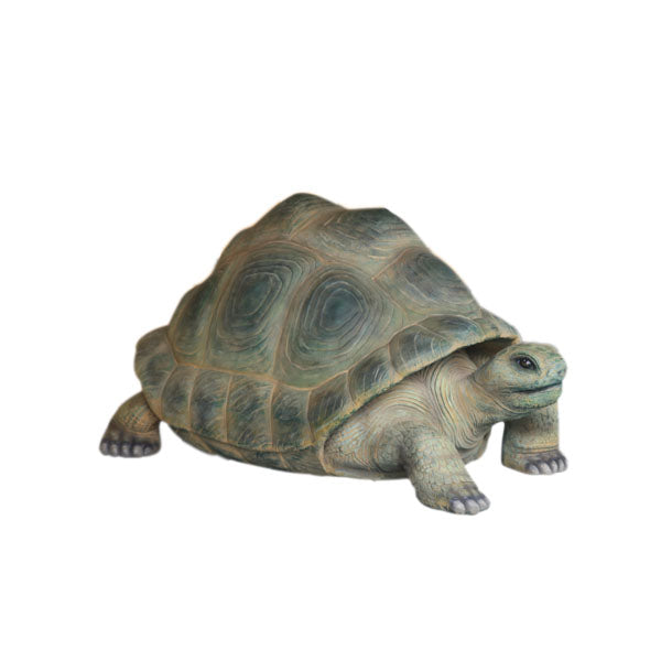 Aldabra Turtle Life Size Statue