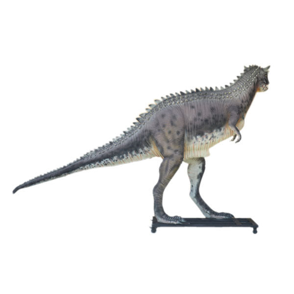 Carnotaurus Dinosaur Life Size Statue