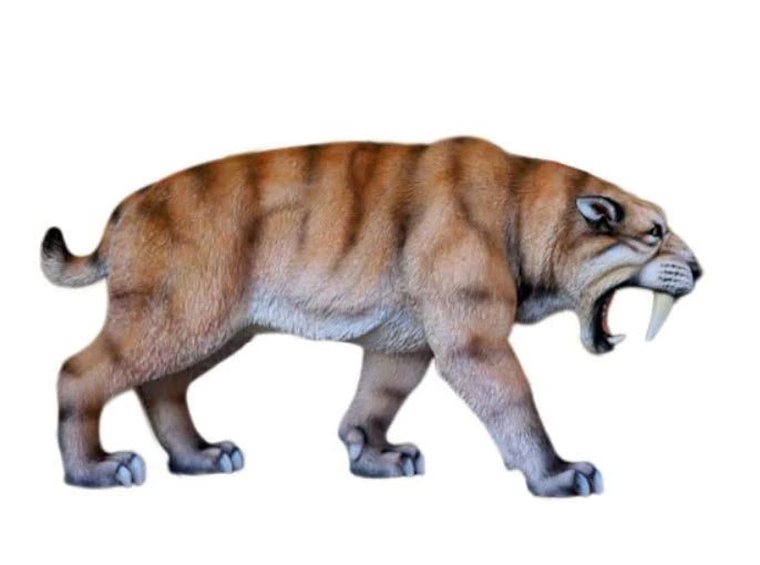 Saber Tooth Tiger Growling Life Size Statue