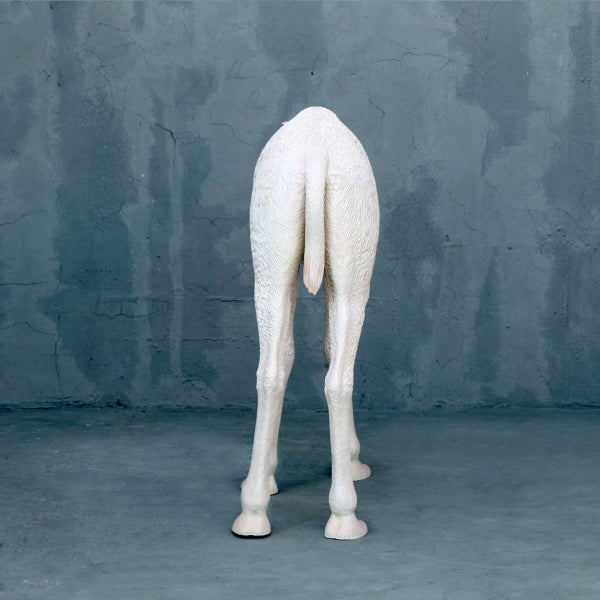 Baby Camel Life Size Statue
