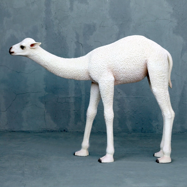 Baby Camel Life Size Statue