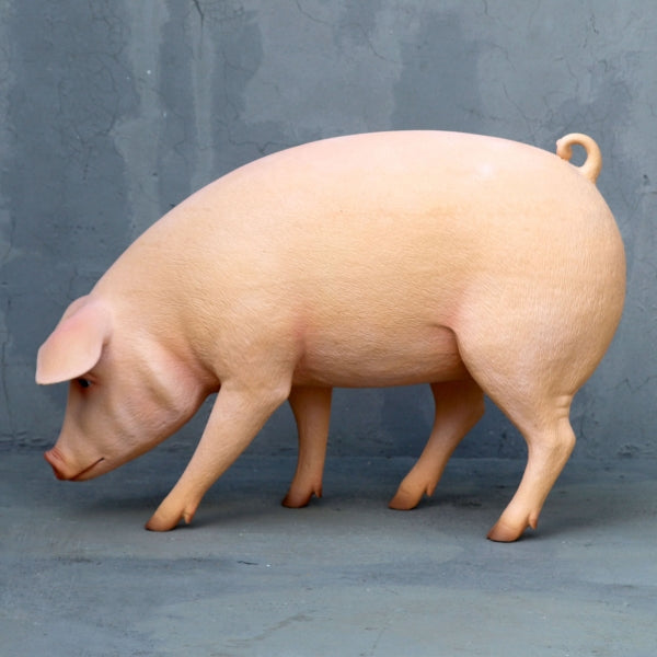 Pig Head Down Life Size Statue
