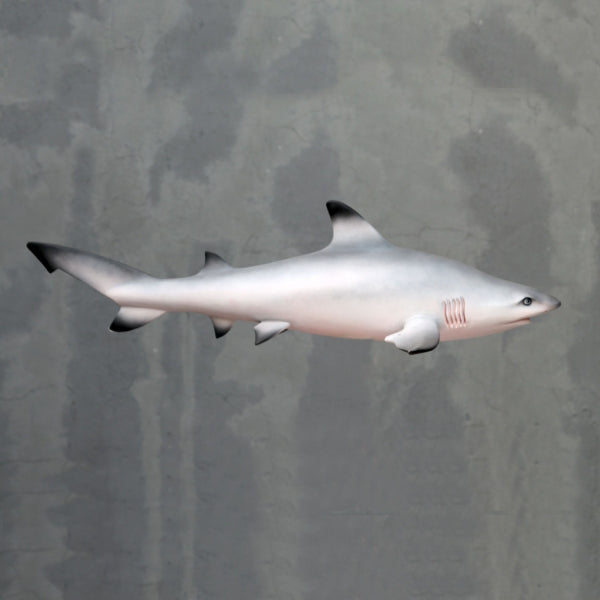 Black Tipped Shark Life Size Statue