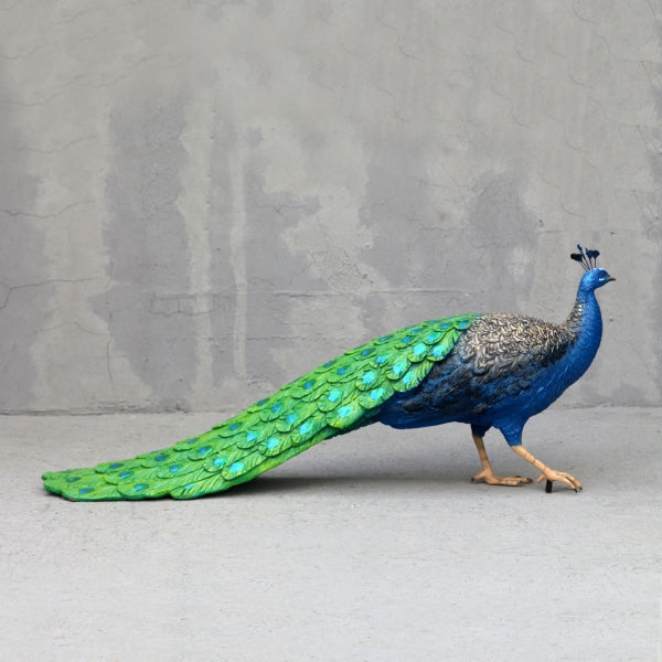 Peacock Male Life Size Statue
