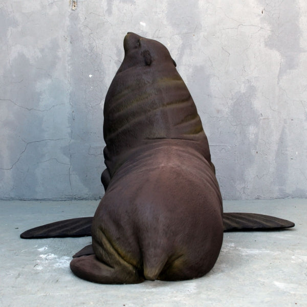 Australian Fur Seal Life Size Statue