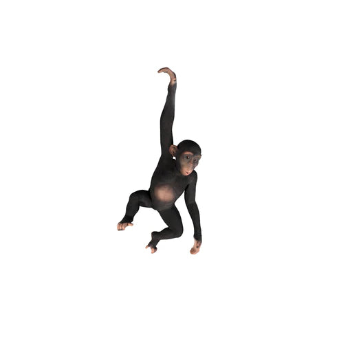 Monkey Hanging Life Size Statue