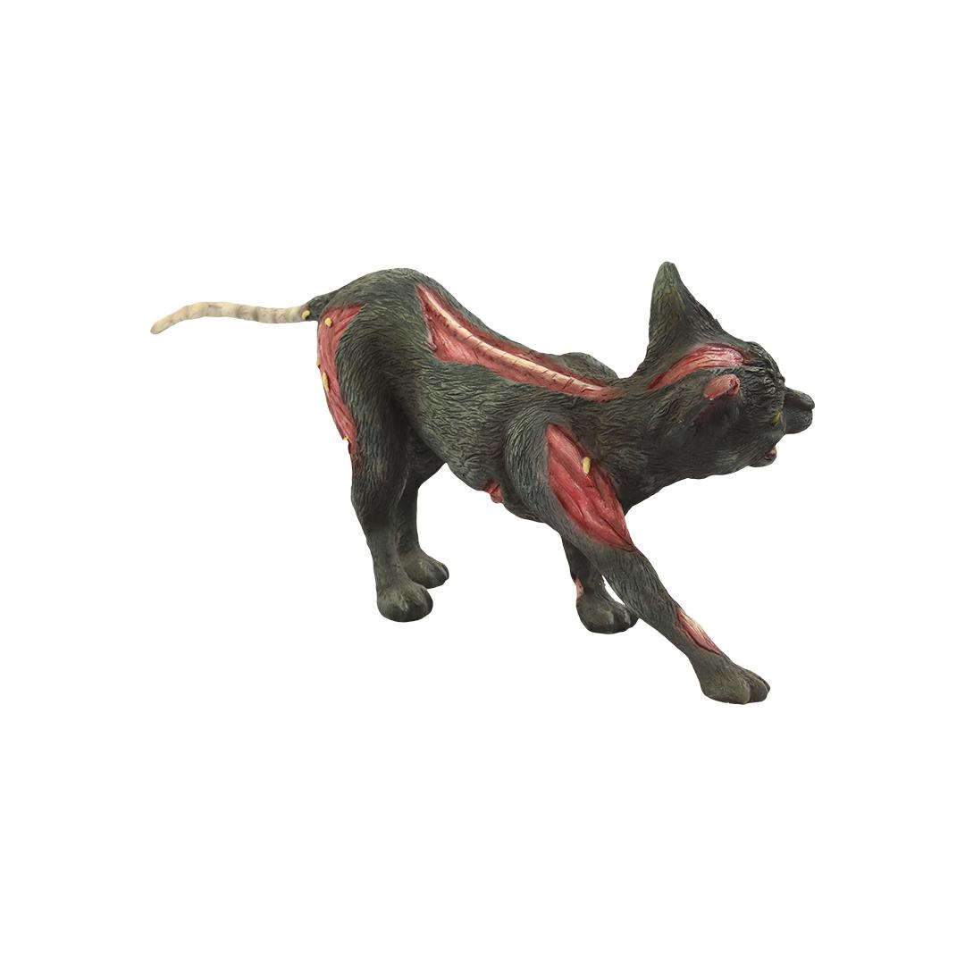 Skeleton Undead Cursed Cat Life Size Statue