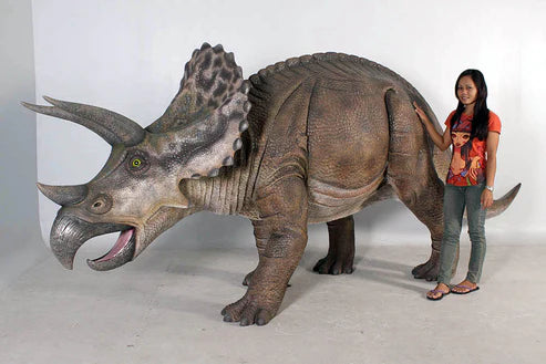 Triceratops Dinosaur Life Size Statue