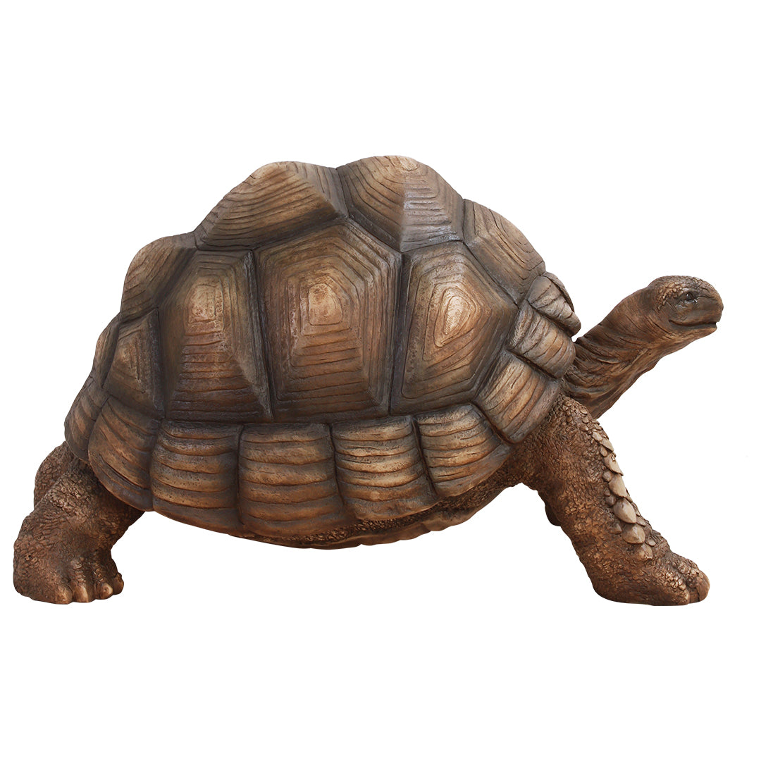 Turtle Life Size Statue