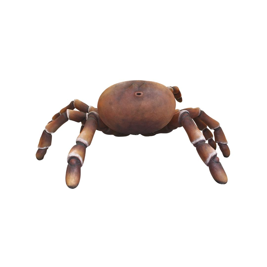 Tarantula Giant Spider Over Sized Statue