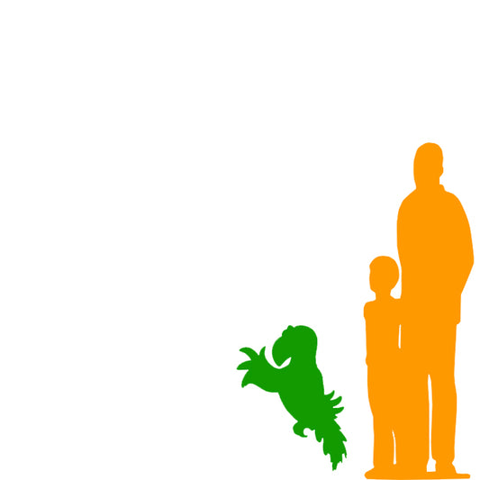 Comic Parrot No Stand Over Sized Statue