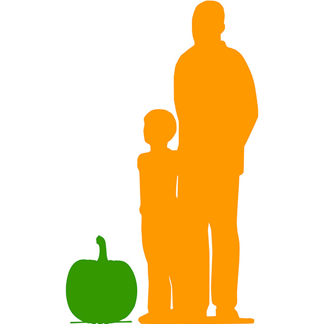 Pumpkin Over Sized Statue