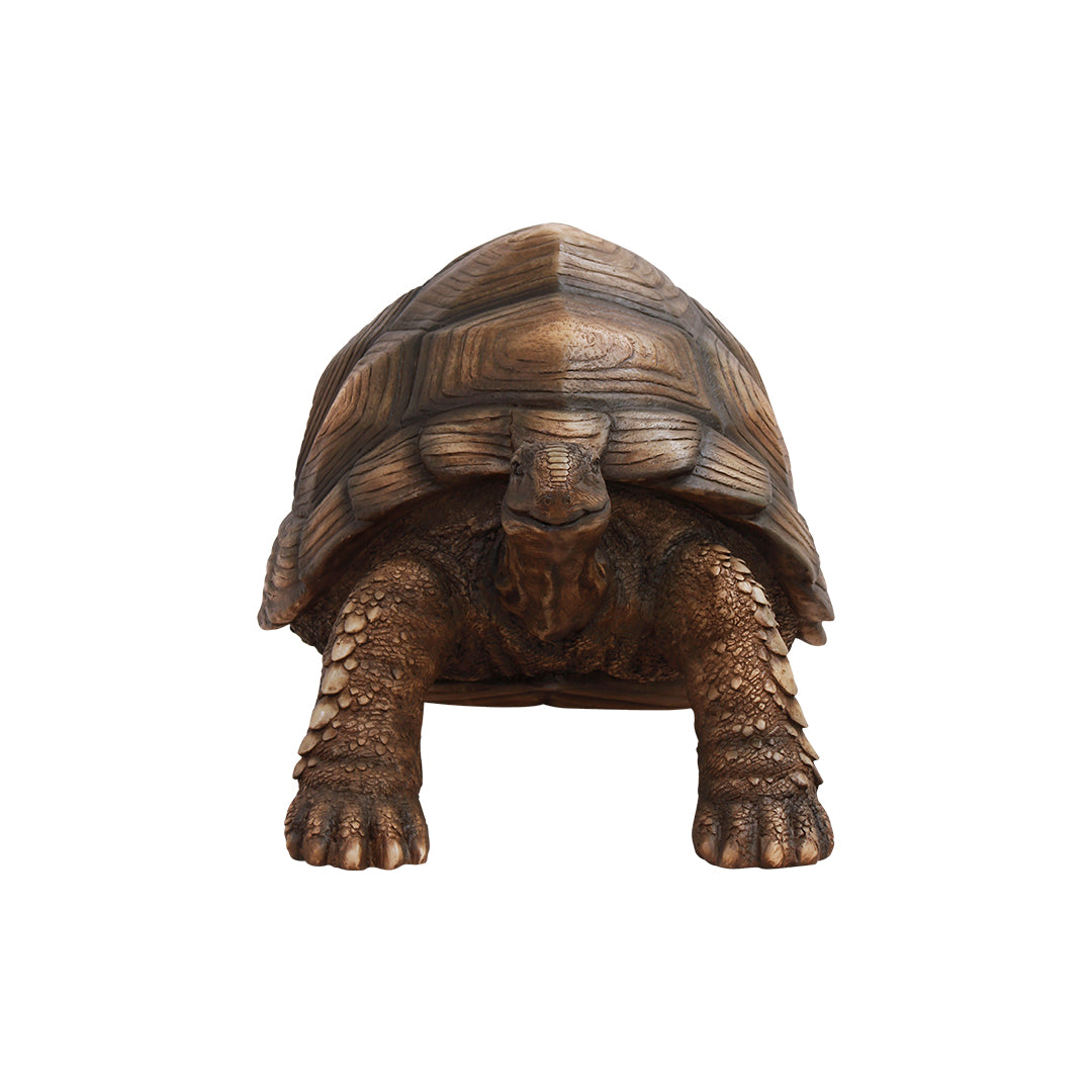 Turtle Life Size Statue