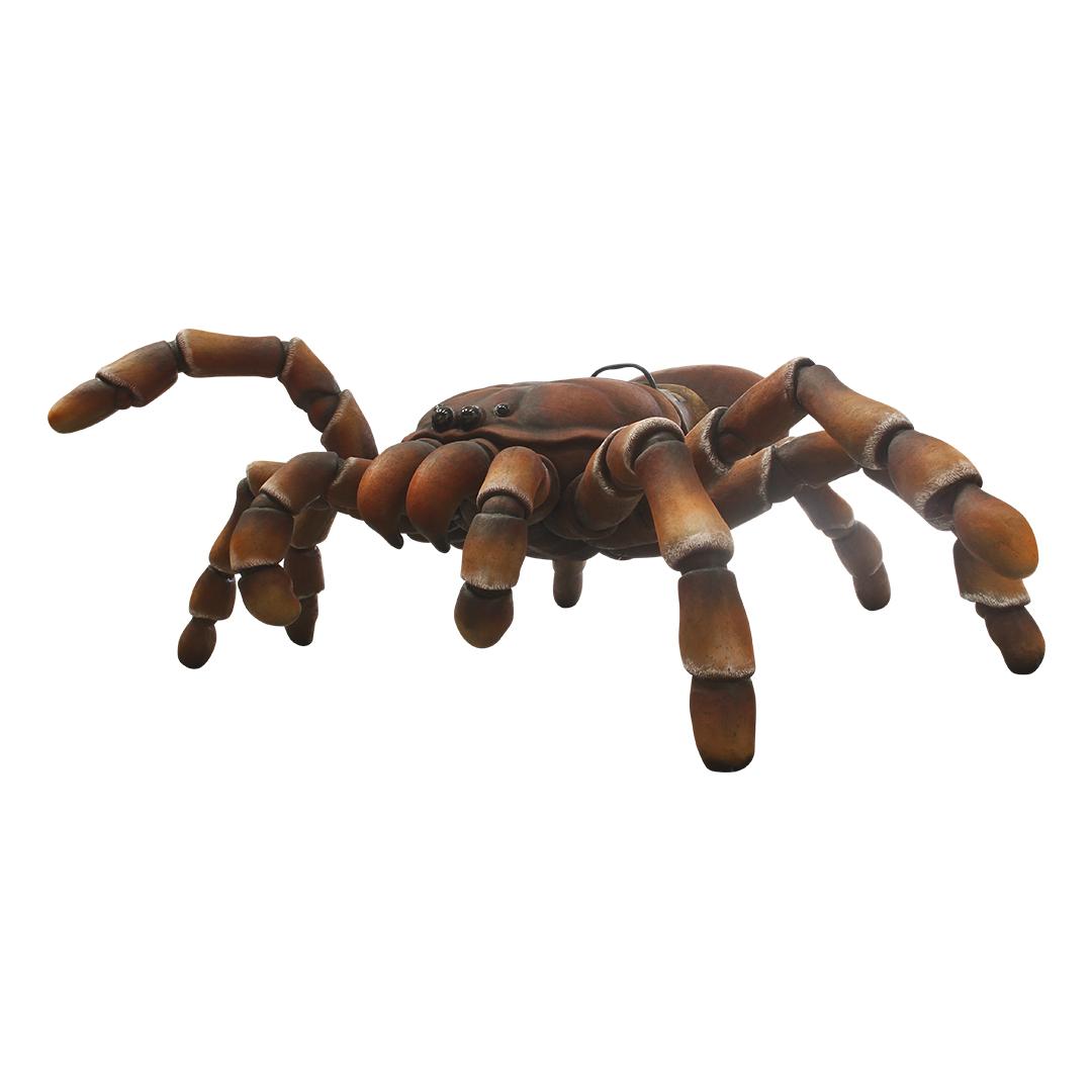 Tarantula Giant Spider Over Sized Statue