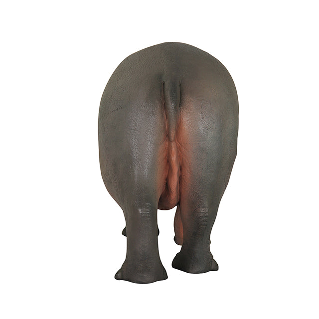 Gray Baby Hippo Life Size Statue