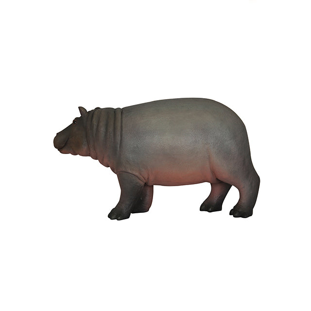 Gray Baby Hippo Life Size Statue