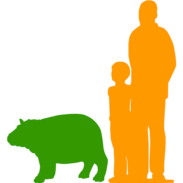 Gray Baby Hippo Life Size Statue