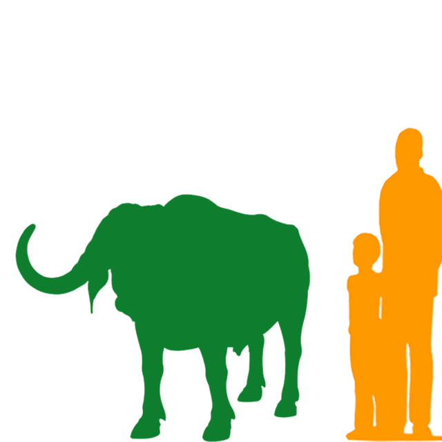 Cape Buffalo Life Size Statue