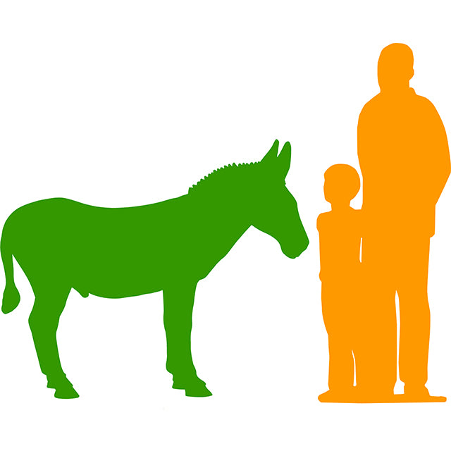 Donkey Life Size Statue