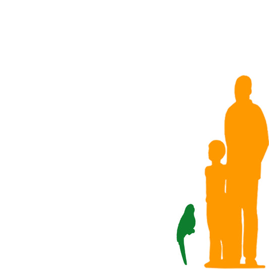 Wall Decor Parrot Life Size Statue