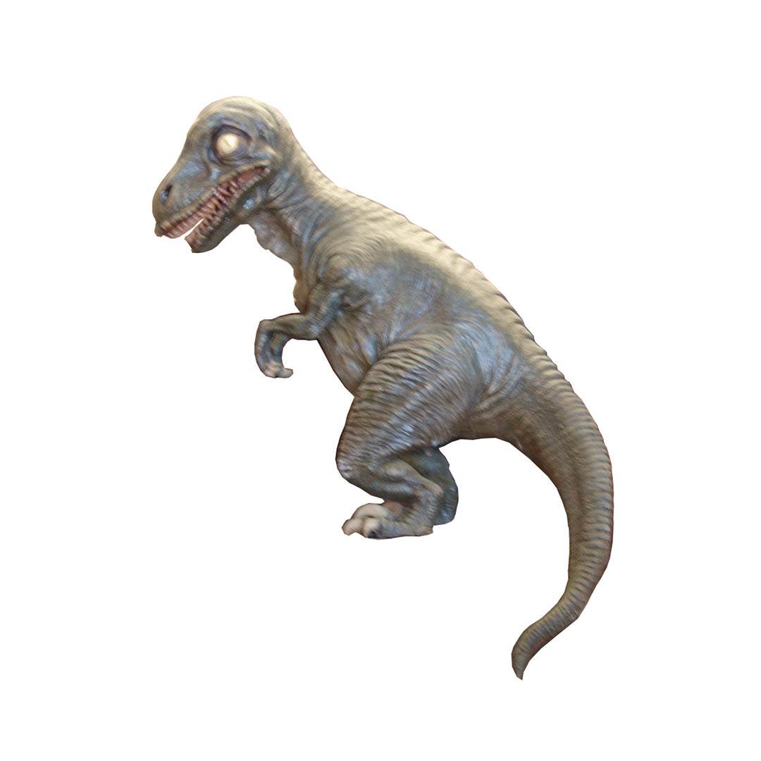 Baby T-Rex Dinosaur No Net Life Size Statue