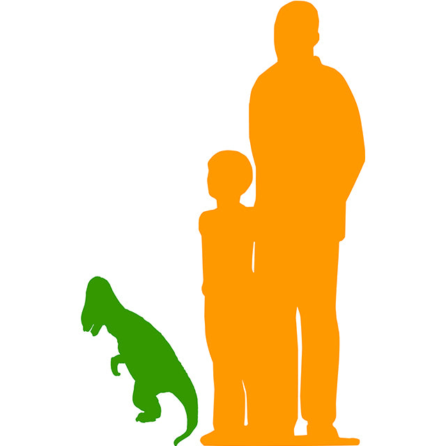 Baby T-Rex Dinosaur No Net Life Size Statue