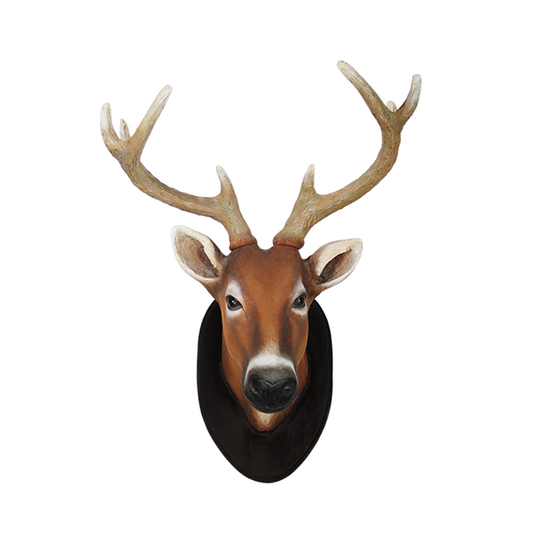 Wall Decor Young Deer Head Life Size Statue