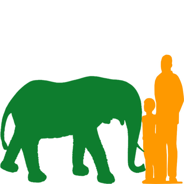 Elephant Statue