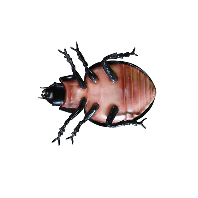 Beetle Insect Over Sized Statue