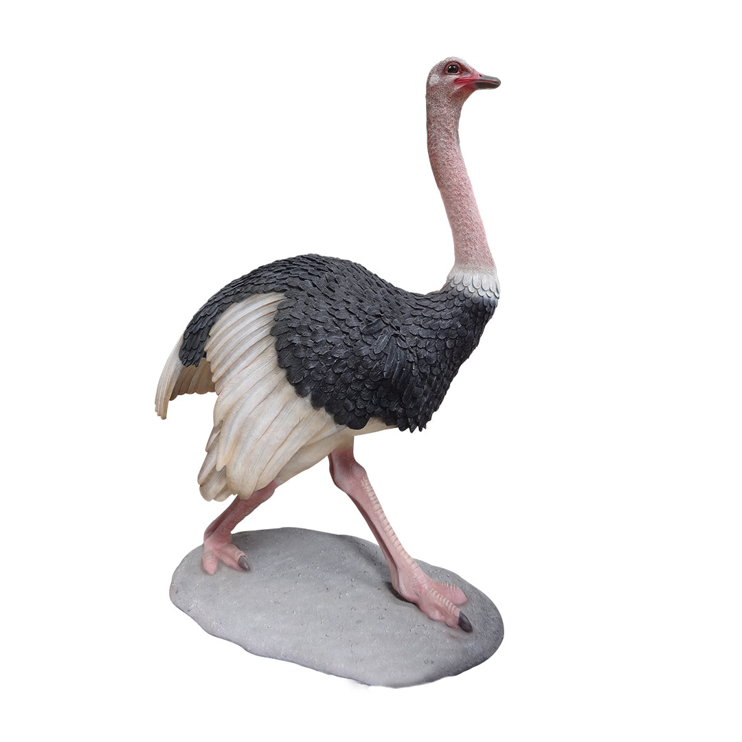 Baby Ostrich Walking Life Size Statue