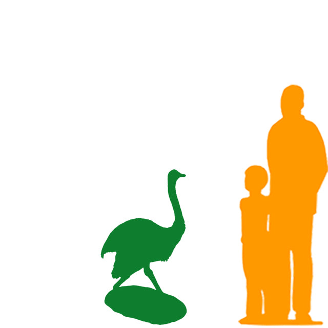 Baby Ostrich Walking Life Size Statue